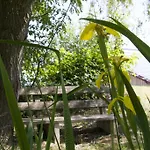 Gasthof Zum Sonnenwald 4* Schöfweg