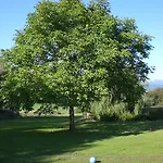 בית הארחה Gasthof Zum Sonnenwald 4*
