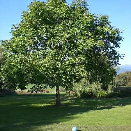 招待所 Gasthof Zum Sonnenwald 4*